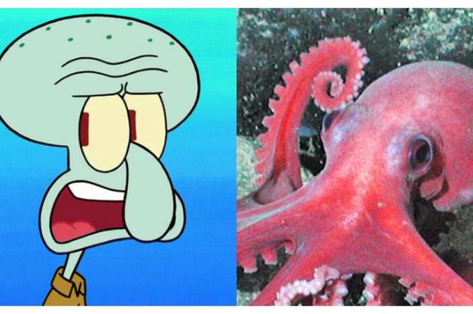 Watch Today Years Old's leaked NSFW photo on TwXstars