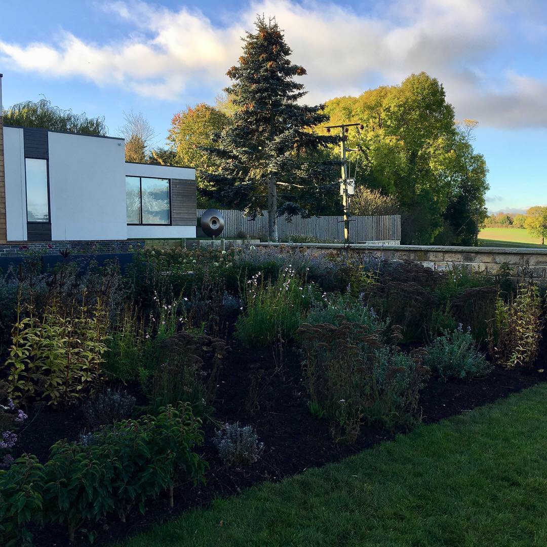 Bestall & Co Landscape Design tweet media