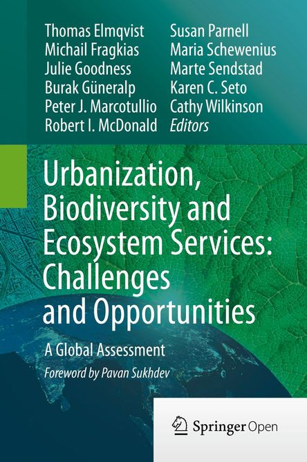 shop land use and land cover change local processes and global impacts global change the igbp series 2006