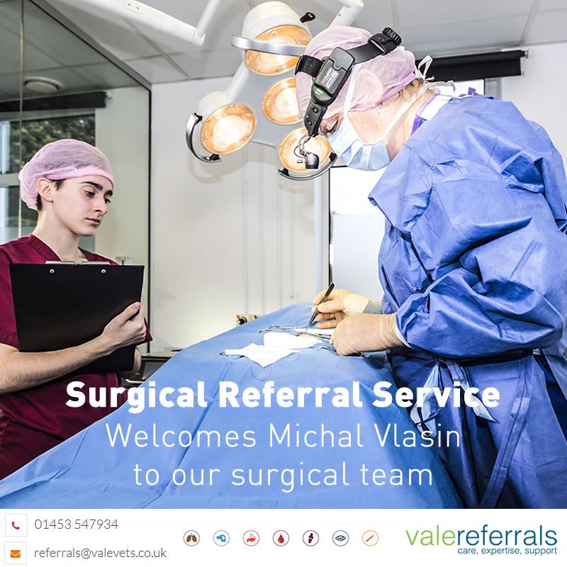 ValeReferrals's tweet image. We welcome Michal Vlasin to our surgical team.  Michal brings with him a wealth of expertise &amp;amp; passion in soft tissue / orthopaedic surgery. Michal, who is currently finishing his Diploma in Soft Tissue Surgery, will work closely with Richard Artingstall valereferrals.co.uk/meet-the-team/…
