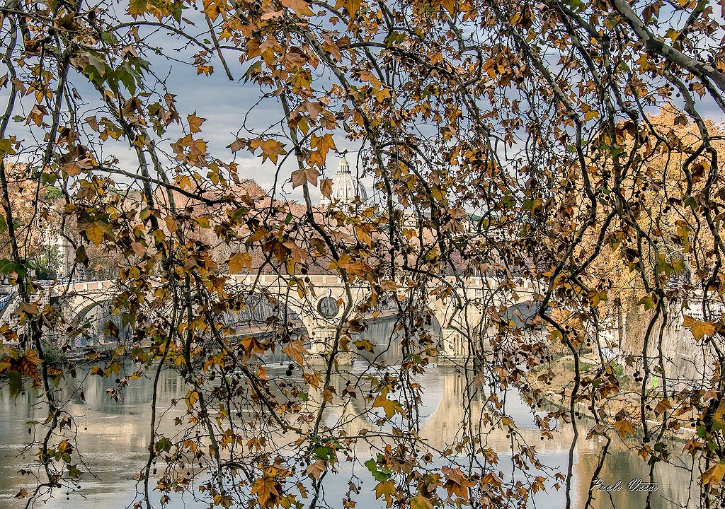 HelloToujours's tweet image. 🍂Nei #buongiorno in cui ti rendi conto che “l’#autunno è la primavera dell’inverno” #laCosaPiùDifficile è andare a lavorare. Se vivessi #DentroLoSpecchio la vita sarebbe il riflesso di quella che è?✨

#unTemaAlGiorno #quote #quoteoftheday #frasedelgiorno #benvenutoautunno #roma