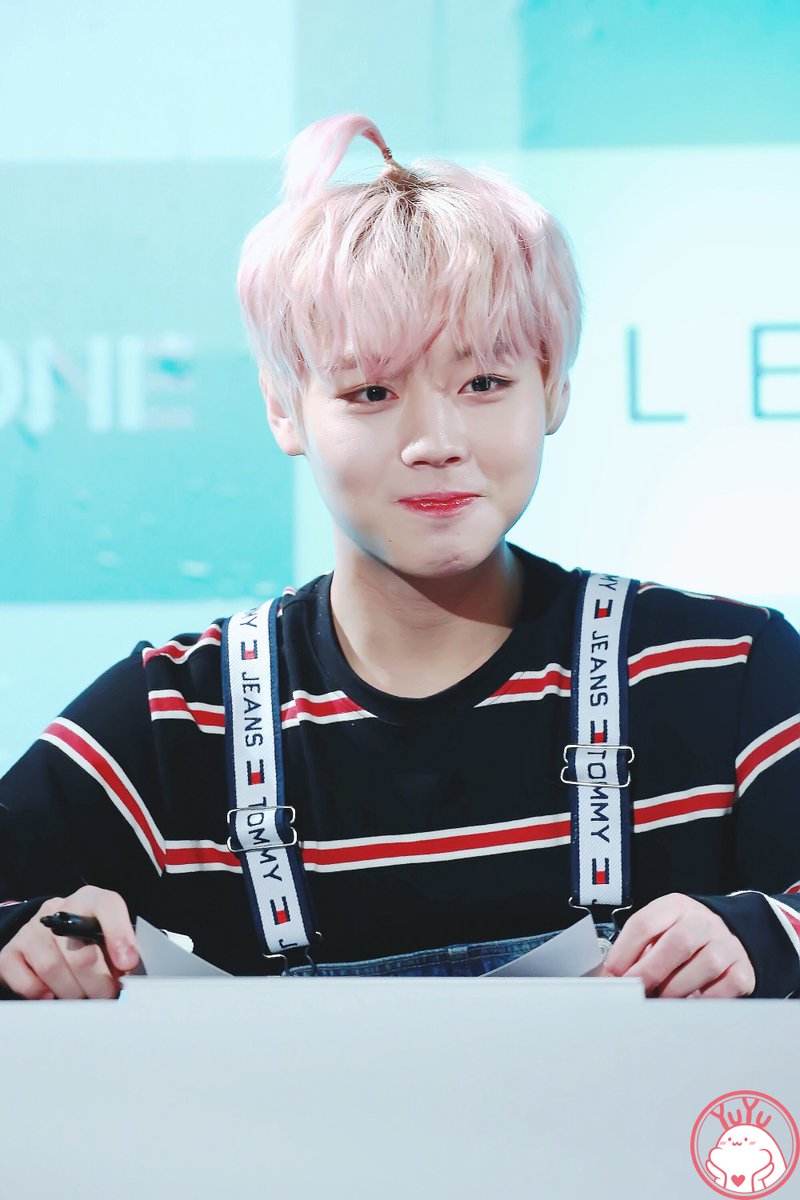 Sunflowers94_nd's tweet photo. @mystarpass #박지훈 #ParkJiHoon #朴志訓 #パクジフン #ジフン #จีฮุน #워너원 #WannaOne #스타패스 #SATRPASS #별별랭킹 #핑크 #투표 #gleammedia https://t.co/N1OHGS2jj9