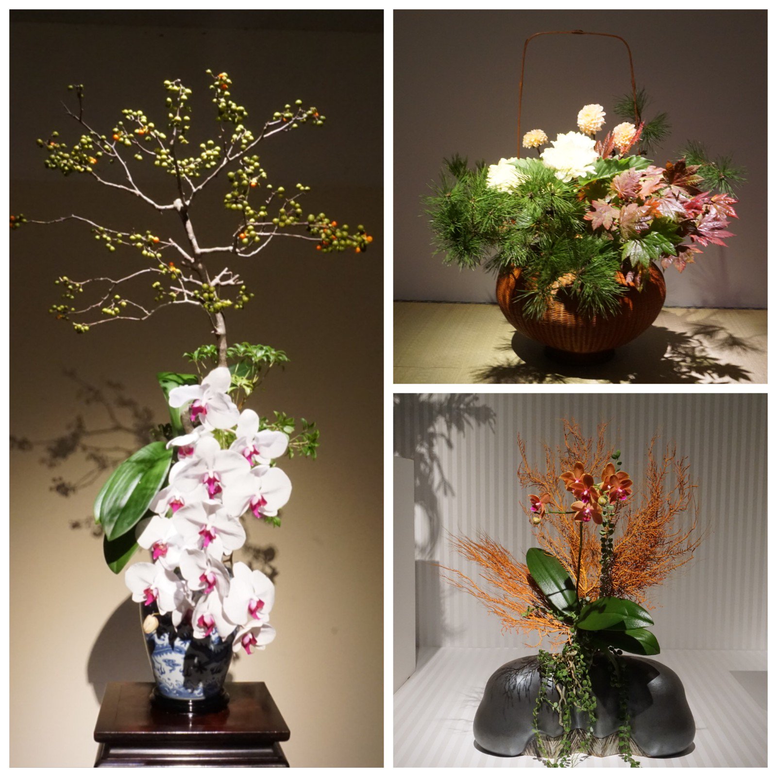いけばな小原流展 Twitter Search Twitter