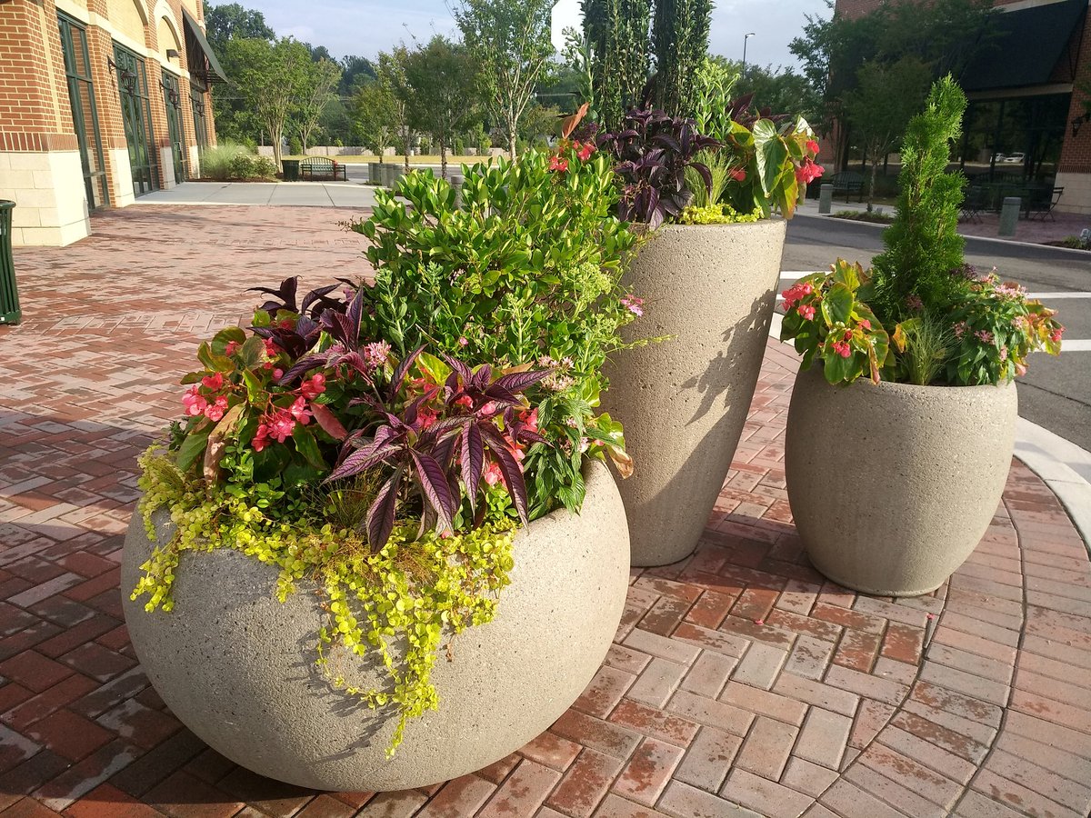 hyperzik_'s tweet photo. Greenery is as important as the make-up we do to our body. Consider flowers as the cosmetics for the environment. 🌳 #nature #photography #localguide #GardenersWorld #green https://t.co/JJasM2W3lr