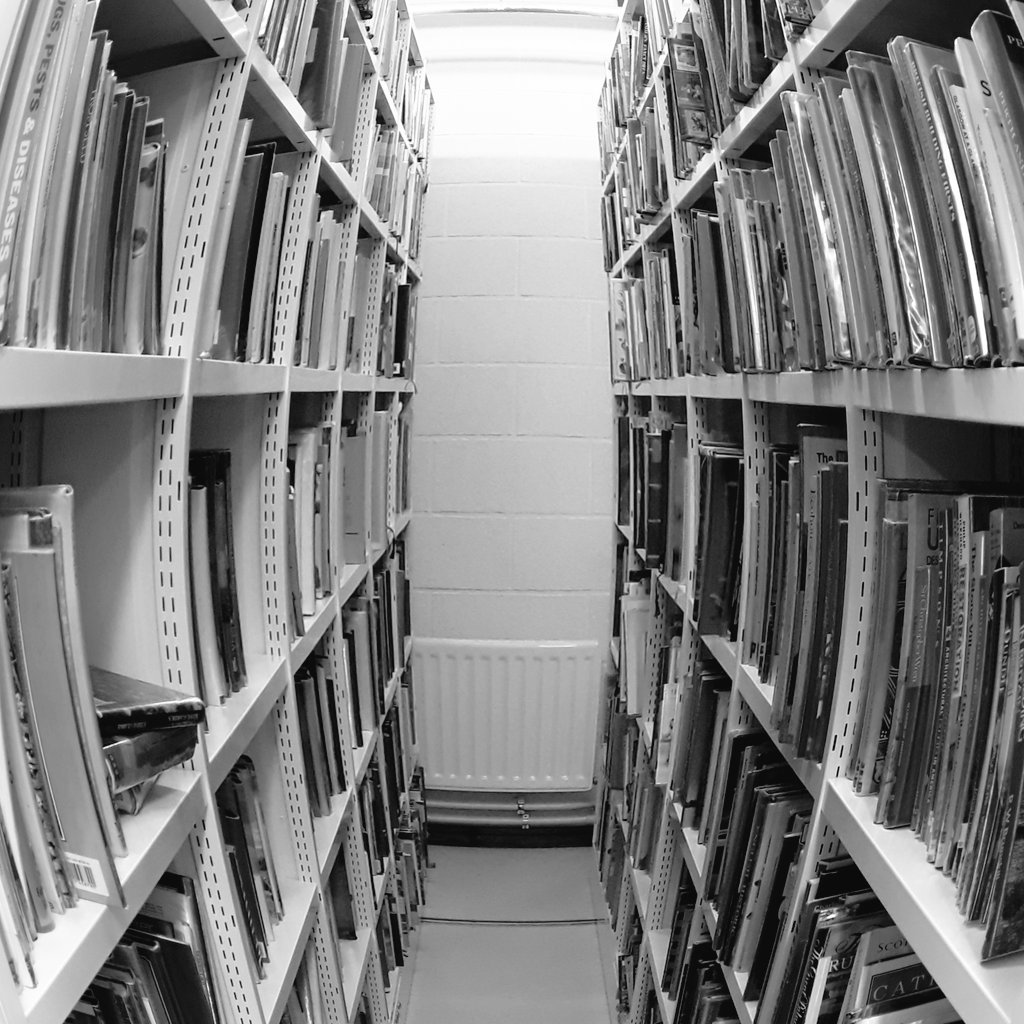 Rows of hardbacks, all bearing down on me.
I can feel their, dust jackets touching me.

Sorry, too much #Radiohead before work again