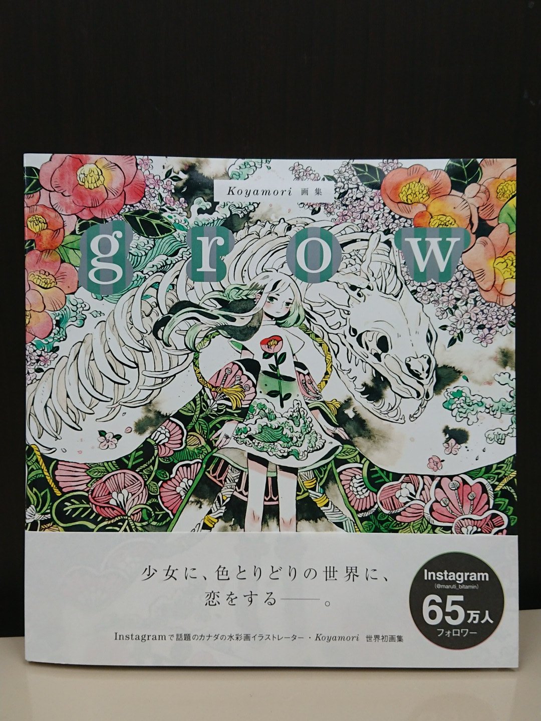 ジュンク堂書店明石店 芸術 Koyamori 画集 Grow カナダのイラストレーター Koyamori さんの初の画集 カバーはリバーシブルで裏のイラストは表との印象の差にハッとします ｈｐでデジタルアートブックは買えるけど紙で手元に置きたい方に 棚番号