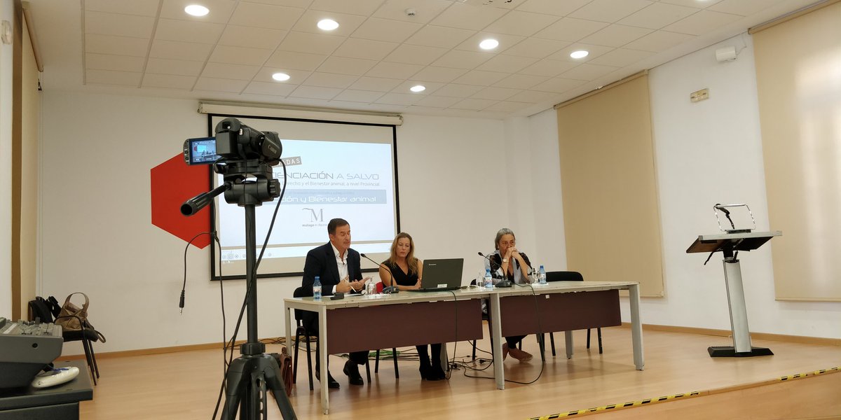 Antoniogestion's tweet photo. Primeras jornadas concienciación sobre la #proteccion y el #BienestarAnimal organizadas por @FUNDASALVO y @diputacionMLG .
Muy interesante conocer las acciones jurídicas y políticas que se llevan a cabo para mejorar el bienestar animal. https://t.co/fdABGGi0mg