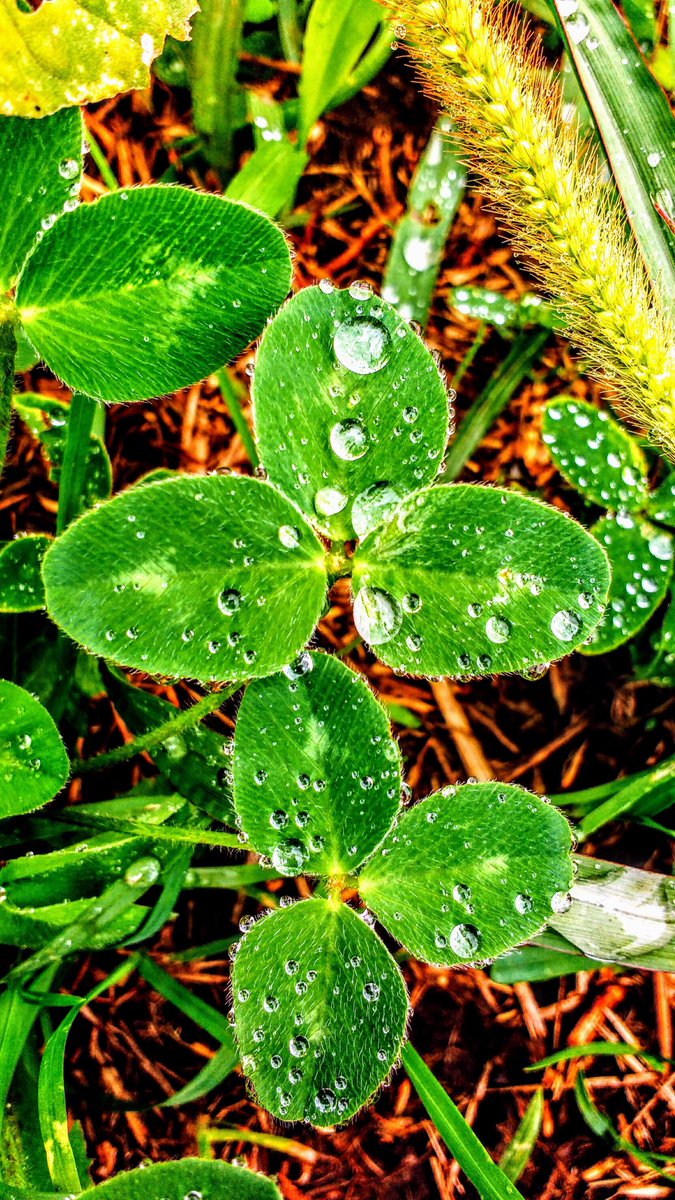 DrummerBoy1216's tweet photo. These are some older shots that I took a few years ago. #photography https://t.co/VOE8sDUZrA