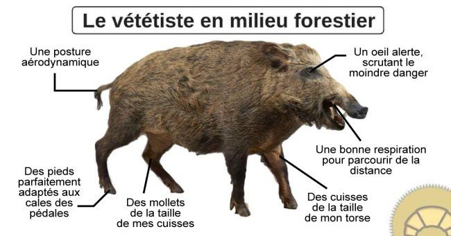 Topito Twitterren Top 10 Des Images Droles Sur Les Chasseurs Gege Un Vttiste Https T Co Nscxgevcbb Https T Co Ypixmymbud Twitter
