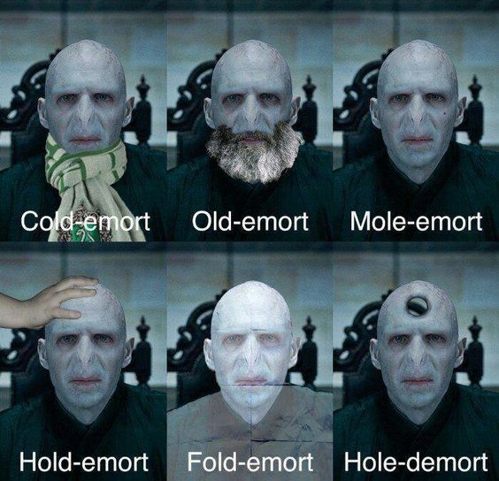 grindstore.com on X: It's rather Cold-emort today 😆 #harrypotter # harrypottermemes #voldemort  / X