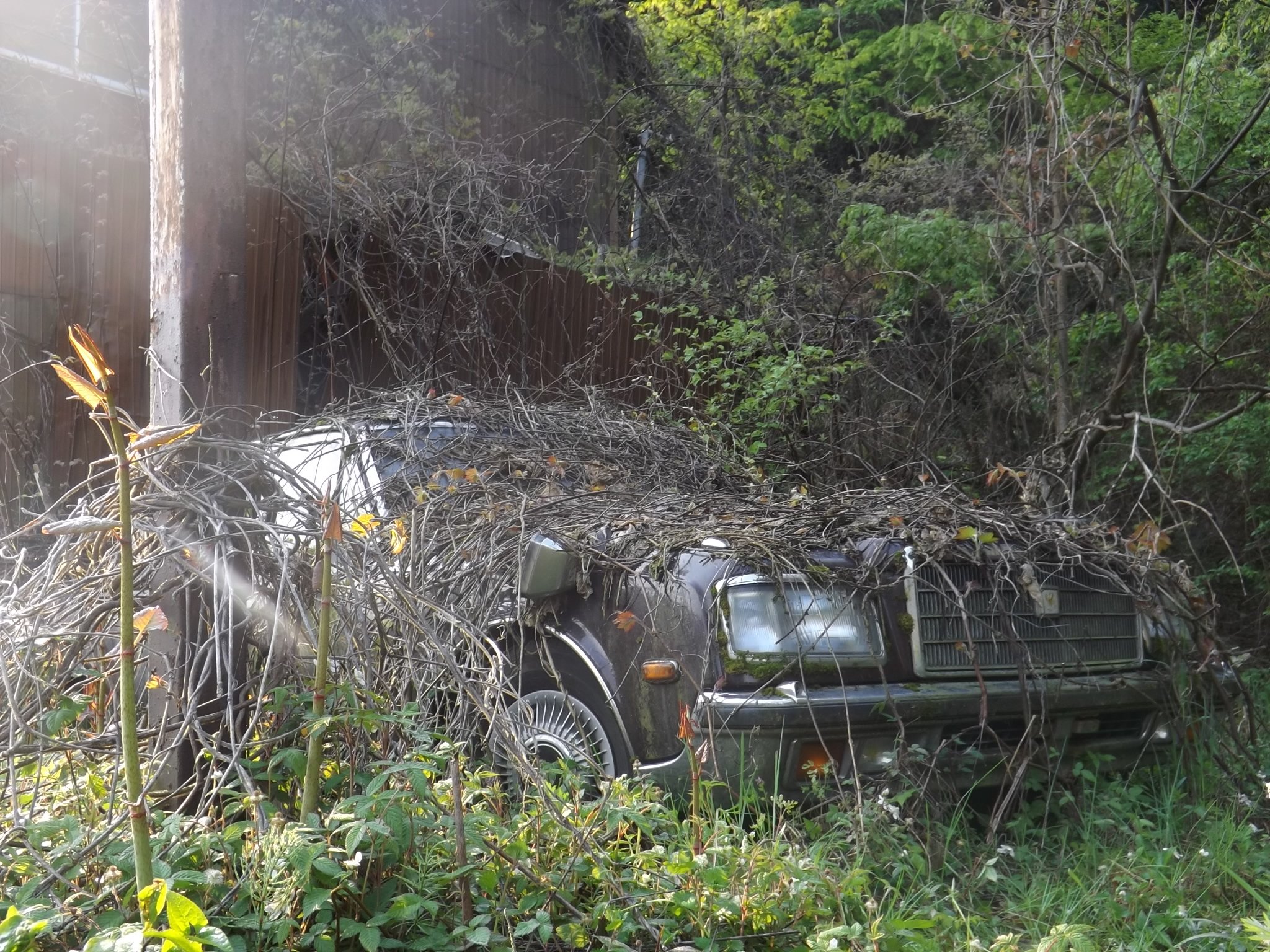 توییتر しばとら なんでも屋 در توییتر 質実剛健な車も中にはこのような運命を辿った車両もある T Co Buxnwsjmrx