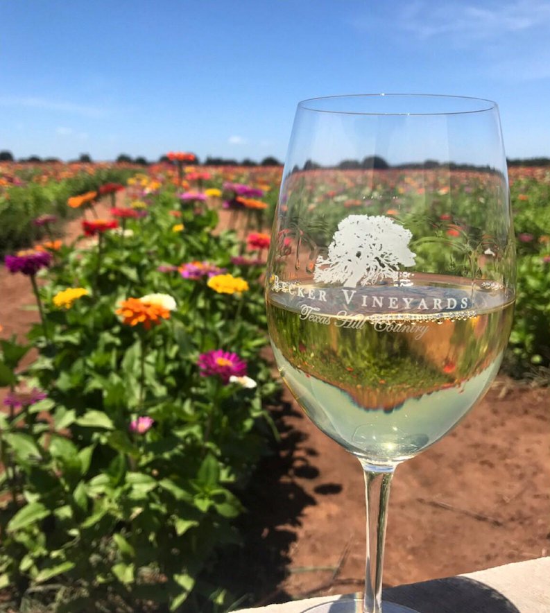 October is Texas Wine Month! 🍾 We highly recommend celebrating with a good glass of wine from some local producers like <a href="/BeckerVineyards/">Becker Vineyards</a>, <a href="/Messina_Hof/">Messina Hof Winery</a>, <a href="/BBranchWinery/">Bending Branch Winery</a>, #perissosvineyards and <a href="/TorrNaLochs/">Torr Na Lochs</a> Cheers! #eatdrinklocal #weloveourpartners