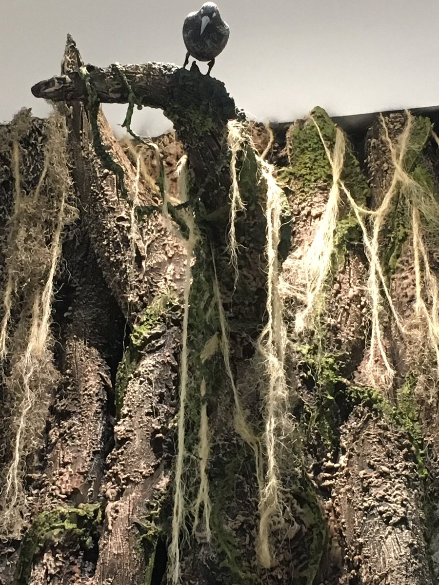 TwittPlaya's tweet image. Un cuervo nos vigila #MUXI Museo de Xibalba