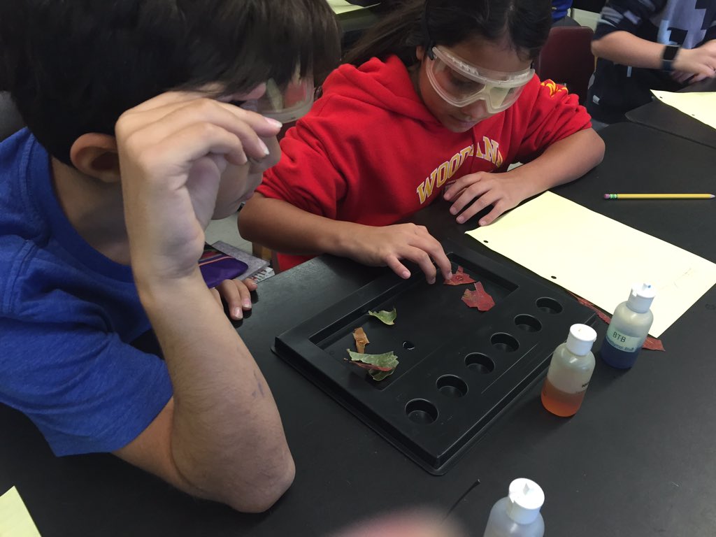 AlisonThoben's tweet photo. #scienceinourbackyard #chemicalreactioninnature @ms_woodland @AlisonThoben @emeadowschools https://t.co/SnBQViI6ql