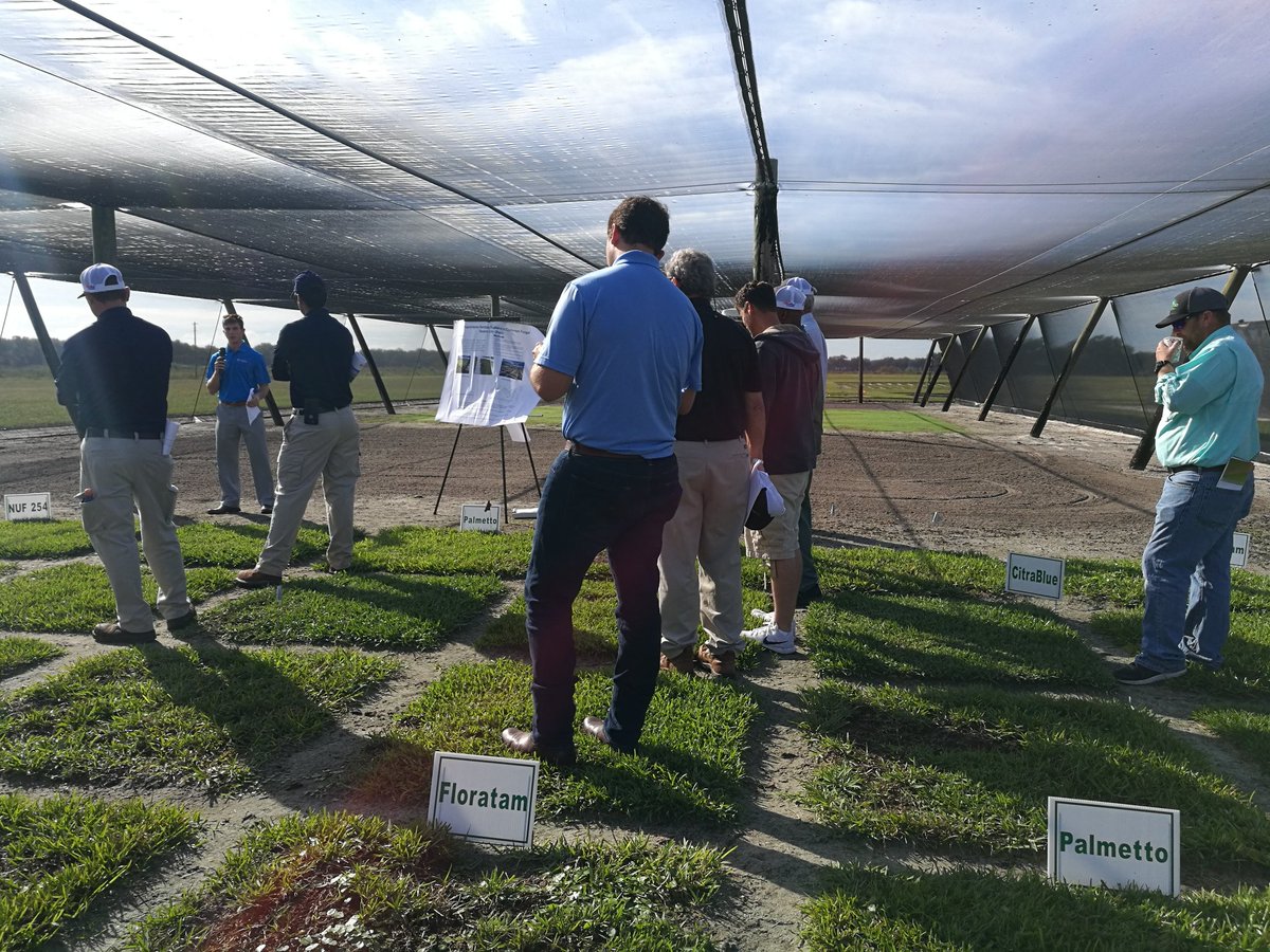 SCRITURF tweet media