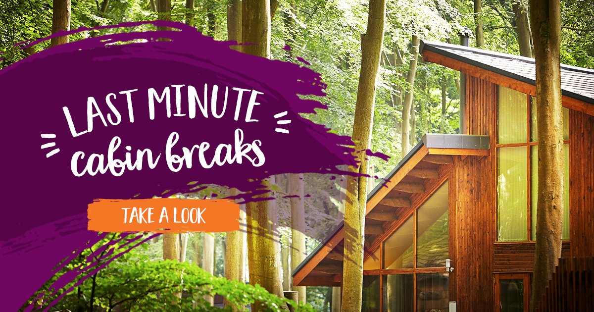 Looking for a last-minute escape in the forest? Check out our late availability page! forestholidays.co.uk/late-availabil…