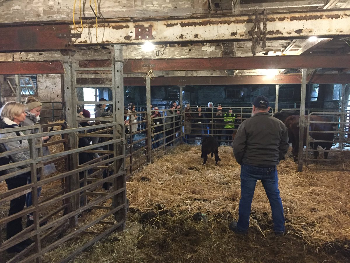 BeefFarmersON's tweet photo. Checking out the health pen at #GilbreaFarms #ffc18 #dieticians #ageducation https://t.co/SbKRduUsx6