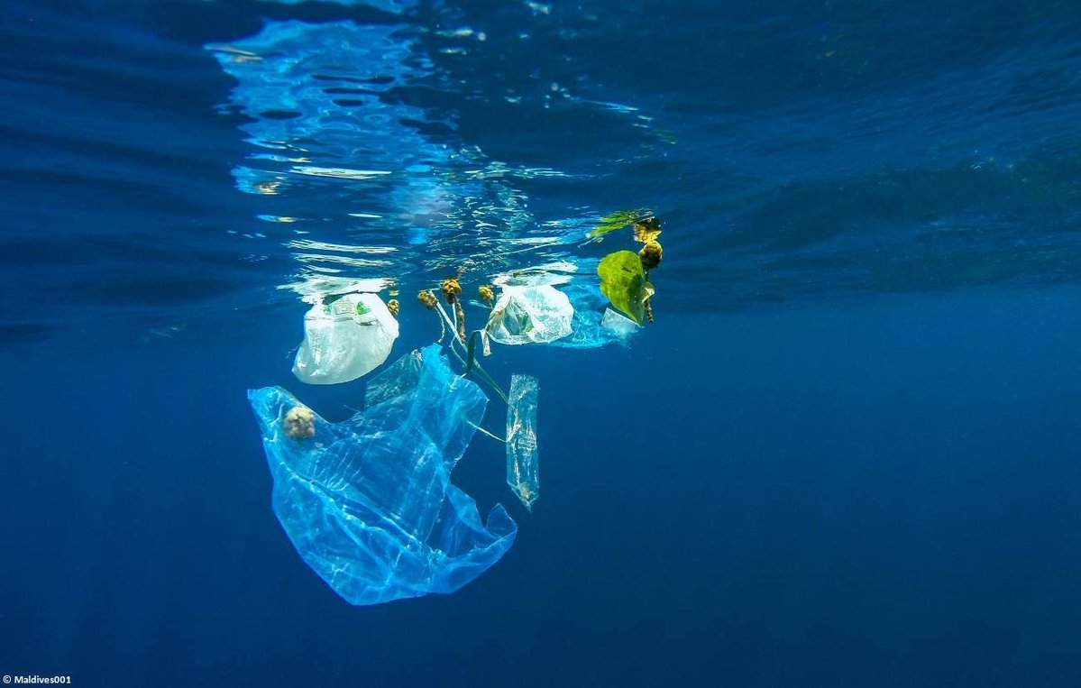 It's done! The <a href="/Europarl_EN/">European Parliament</a> has endorsed today the initiative to tackle marine litter at its source, targeting single-use plastics &amp; lost fishing gear. It's a green victory for Europe &amp; for #OurOcean! Many thanks to <a href="/EU_ENV/">EU Environment</a> for this green milestone 💚💙 europa.eu/!Mw33nv