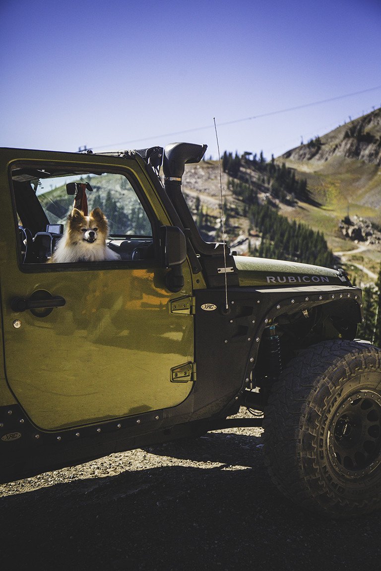 Jeepverified Account Jeep Jeepverified Account Jeep