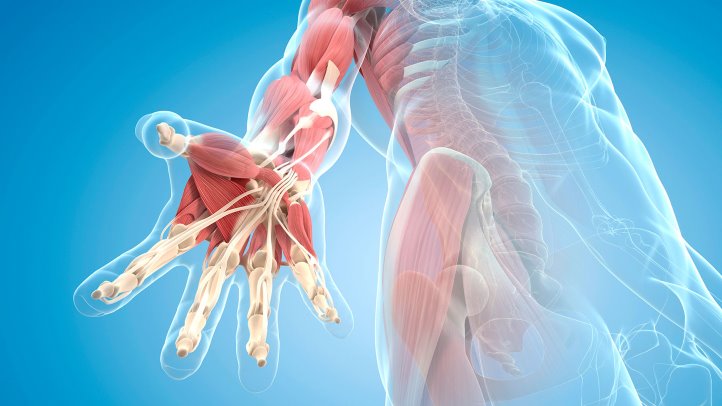 pharmacol14's tweet photo. #Rheumatoid arthritis (RA) is an #auto-immune disease that primarily
affects joints especially the wrist and hands resulting in warm, swollen,
and #painful joints. Pain and stiffness associated with RA often worsens
after rest.
https://t.co/djdR2Sy6oh https://t.co/S8edJV9rku