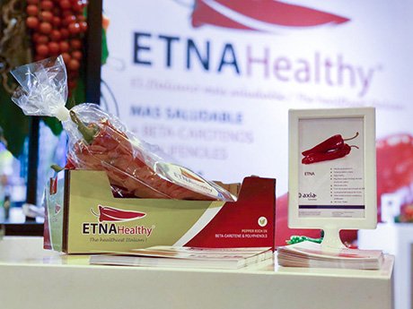 Paprika-concept voor Axia Vegetable Seeds <a href="/axiaseeds/">Axia Vegetable Seeds</a>
groentennieuws.nl/article/903516…