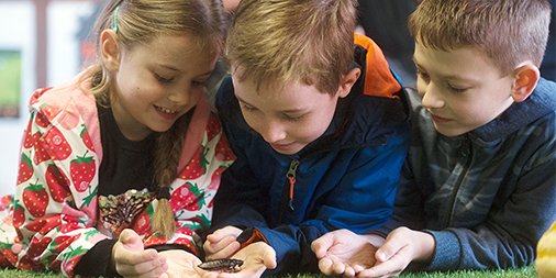 How brave are you? Would you hold one of our creepy cockroaches this #Halloween?
