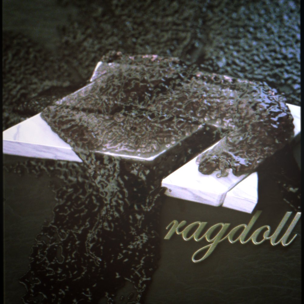 ragdoll tweet media
