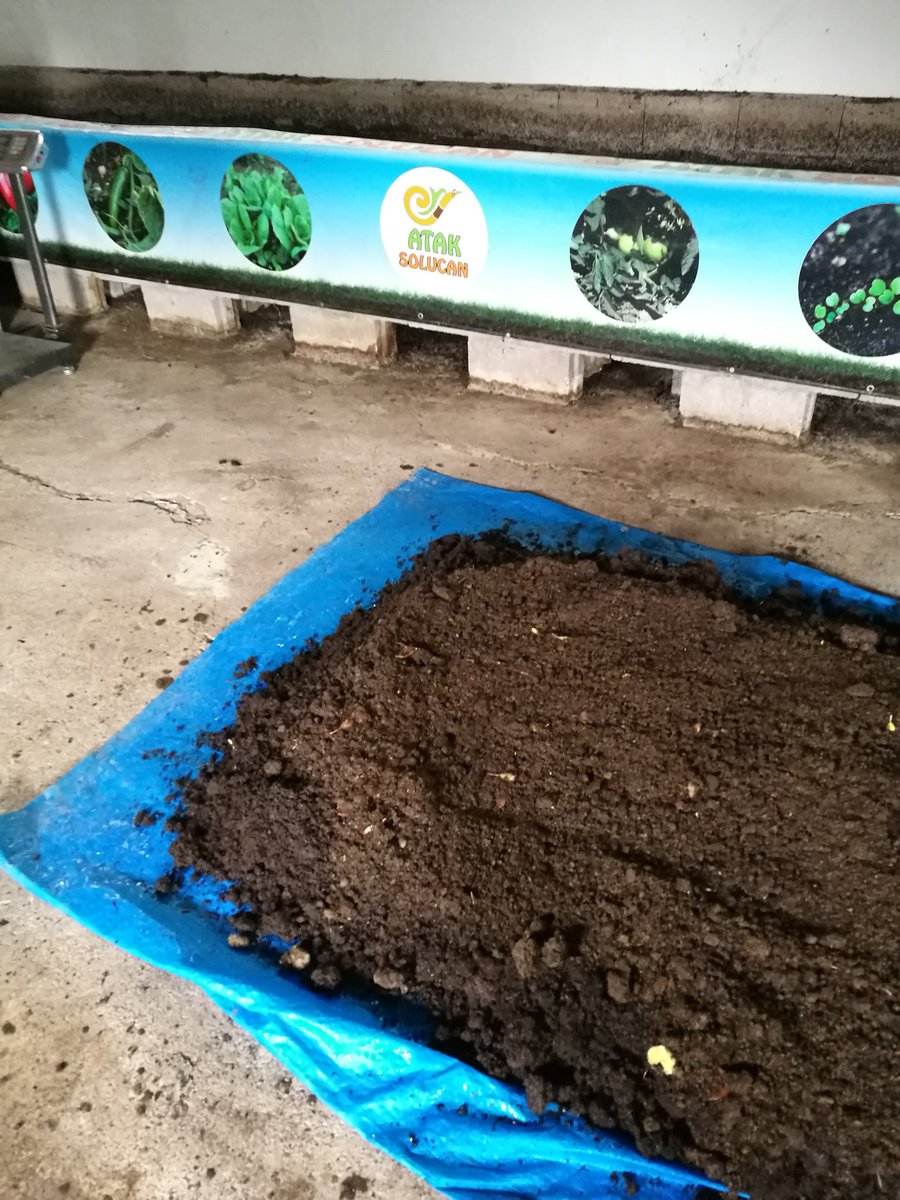 Yeni otel müşterimiz Selçuk beyin solucanlarını tesisimize getirdik. Havuzumuza koymadan önce biraz dinlenecekler. #solucan #solucangübresi #ataksolucan #kırmızıkaliforniyasolucanı #kaliforniyasolucanı #organik #organic #mama #kazan #kahramankazan #yenibaşlayanlar #organiktarım