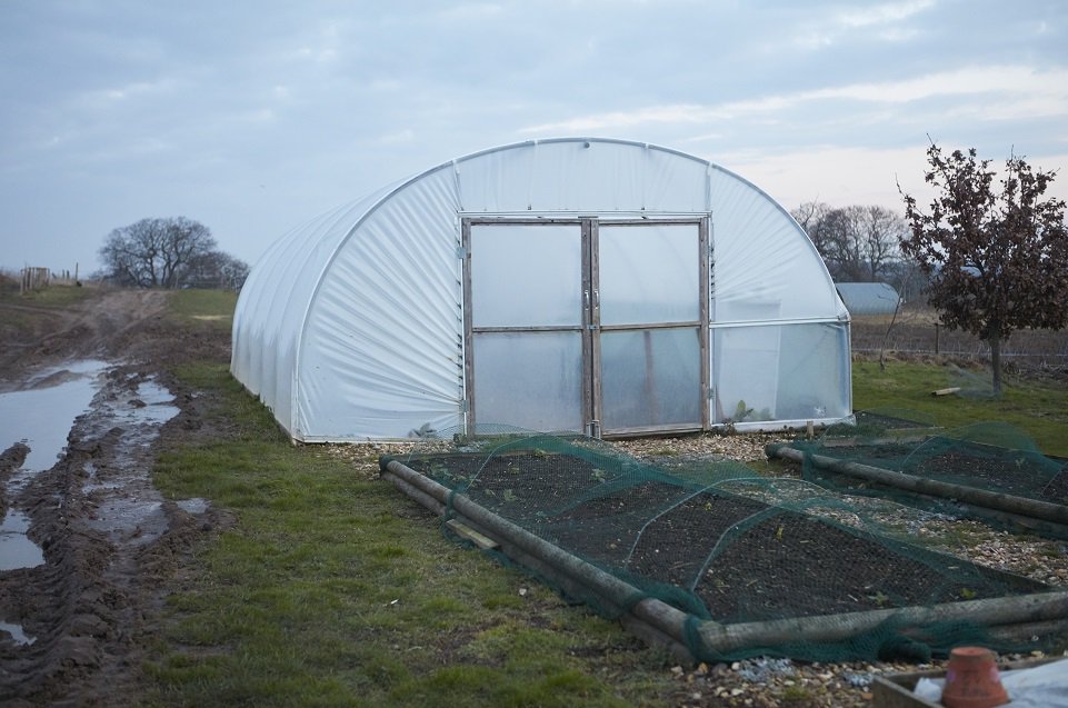 From selecting and maintaining your polytunnel to choosing what to grow, here's what you need to know to establish your planting paradise: ow.ly/vK7T30lXxpb
