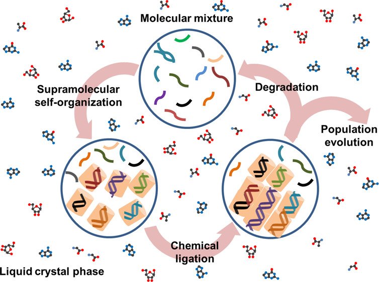 free practical protein bioinformatics