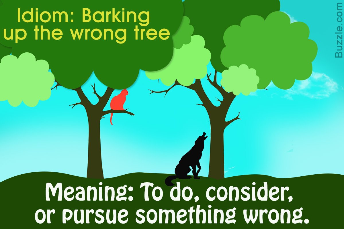 Up the up you. Barking up the wrong tree идиома. to bark up the wrong tree. bark up the wrong tree idiom. barking up the wrong tree meaning.