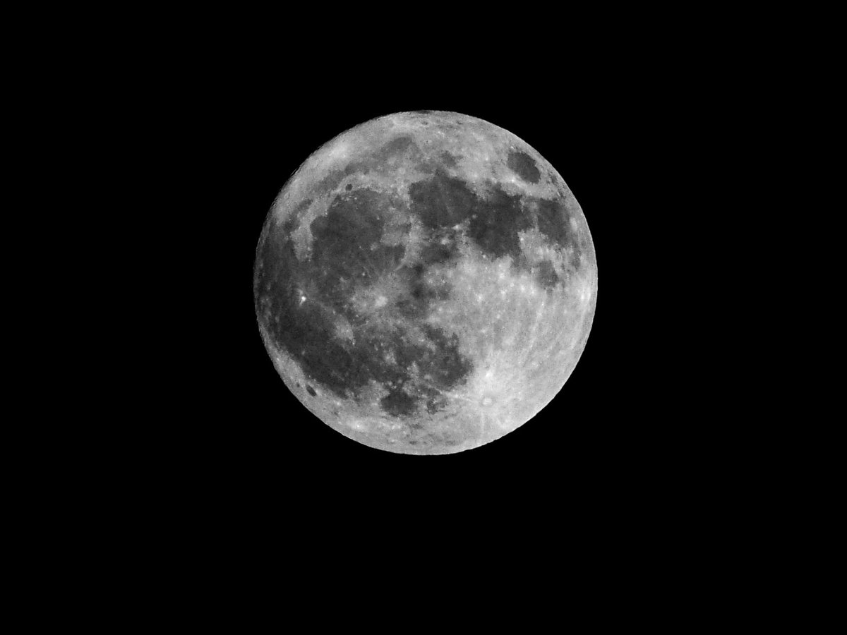 photosjpn's tweet photo. Tonight's Full Hunter Moon over Kobe, Japan! #CNNWeather #CNNSpace #CNNiReport #cnntravel #space #moon #fullmoon #sky #japan #astronomy #photo #photography #travel #supermoon #nature #naturelovers #naturephotography #science #astronomy #night #igdaily #photography #science https://t.co/zFn2AZER5T