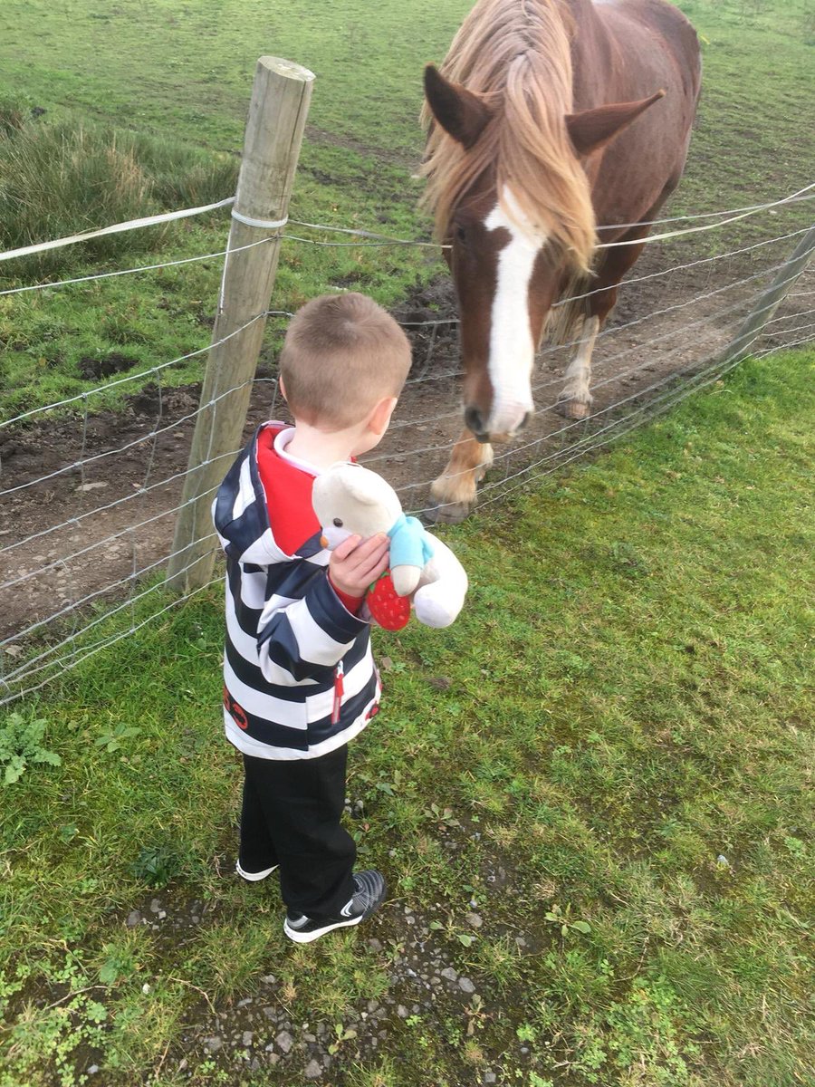 hroan's tweet photo. @BGrovePrimary photo of Harrison and Tedi Twt feeding the horses #reception https://t.co/gOCmW6oha8