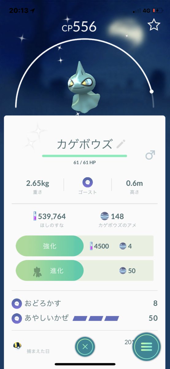 カゲボウズ色違い