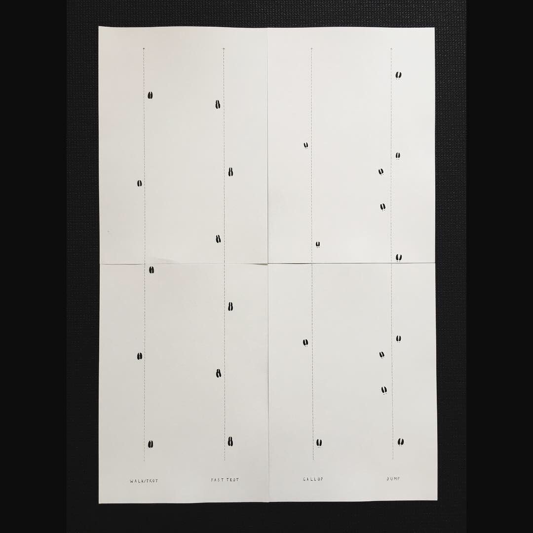 Notating movements of three different deer species with their tracks & trails. (1) Reindeer: walk, trot, jump, gallop (2) White-tailed deer: walk/trot, gallop, jump, pronk (3) Red deer: walk/trot, fast trot, gallop, jump 🦌#deerdancer #sketchbookextract