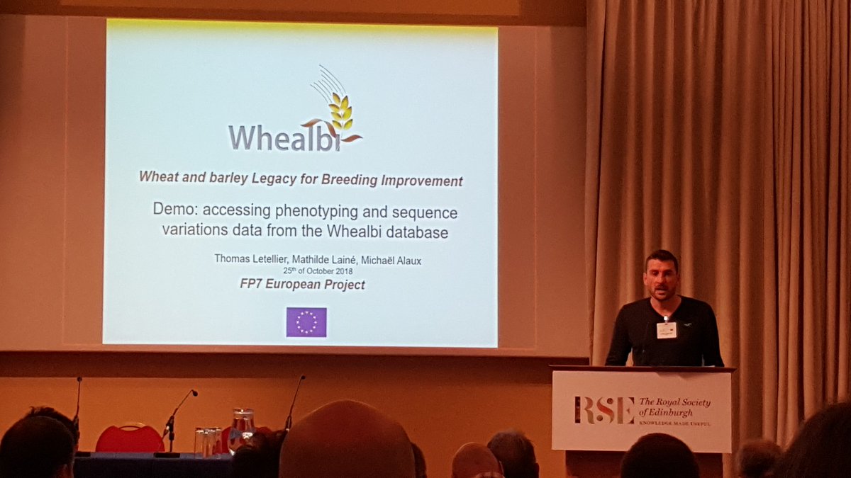 michaelalaux's tweet photo. Thomas Letellier presents the whealbi data in the GnpIS information system @whealbi @Inra_urgi https://t.co/1gjlhzIhqH