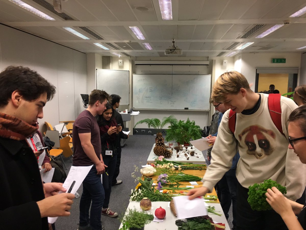 imperialbotanic's tweet photo. We're having our annual plant identification workshop! This year's theme: edible plants and herbs 🌿 Thanks again for your help @Polypompholyx 😊 https://t.co/hk0bBF5ROI