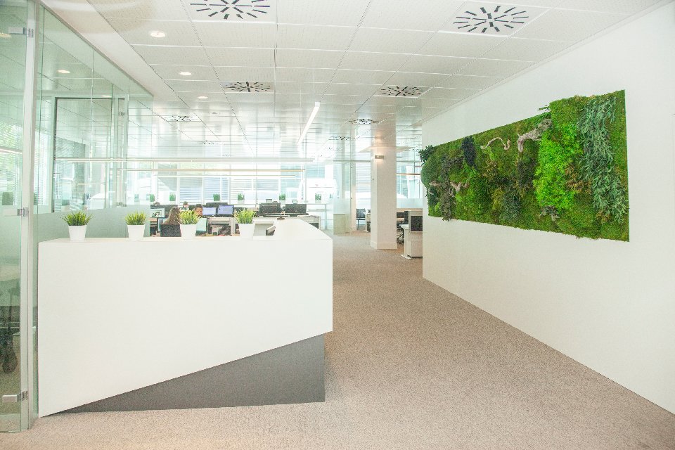 greenarea2's tweet photo. #GreenCreativity for #office design 🌿Discover the possibilites of our #green decor in @Forma5 stand at @ORGATEC ➡️ HALL 8.1 / Stand B59 #Orgatec2018 #orgatec #work https://t.co/YR7HFPA4G5