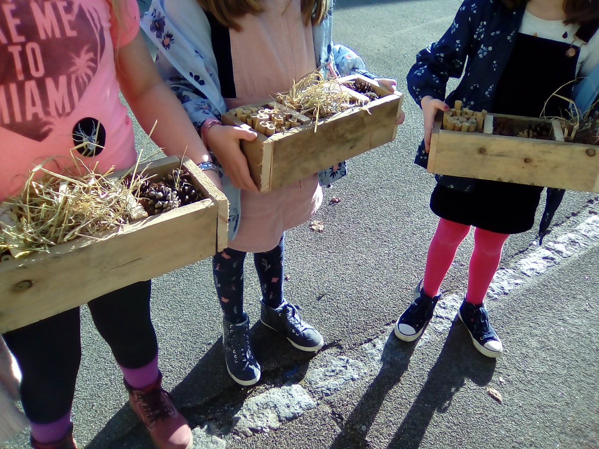 ActivitiesBovey's tweet image. Our Bovey Rangers have ben busy hammering away to make these awesome bug boxes! @BoveyCastle . One of the many kids activities on offer during the holidays @ActivitiesBovey  #bugbox #Dartmoor #homemade #Devon #nature