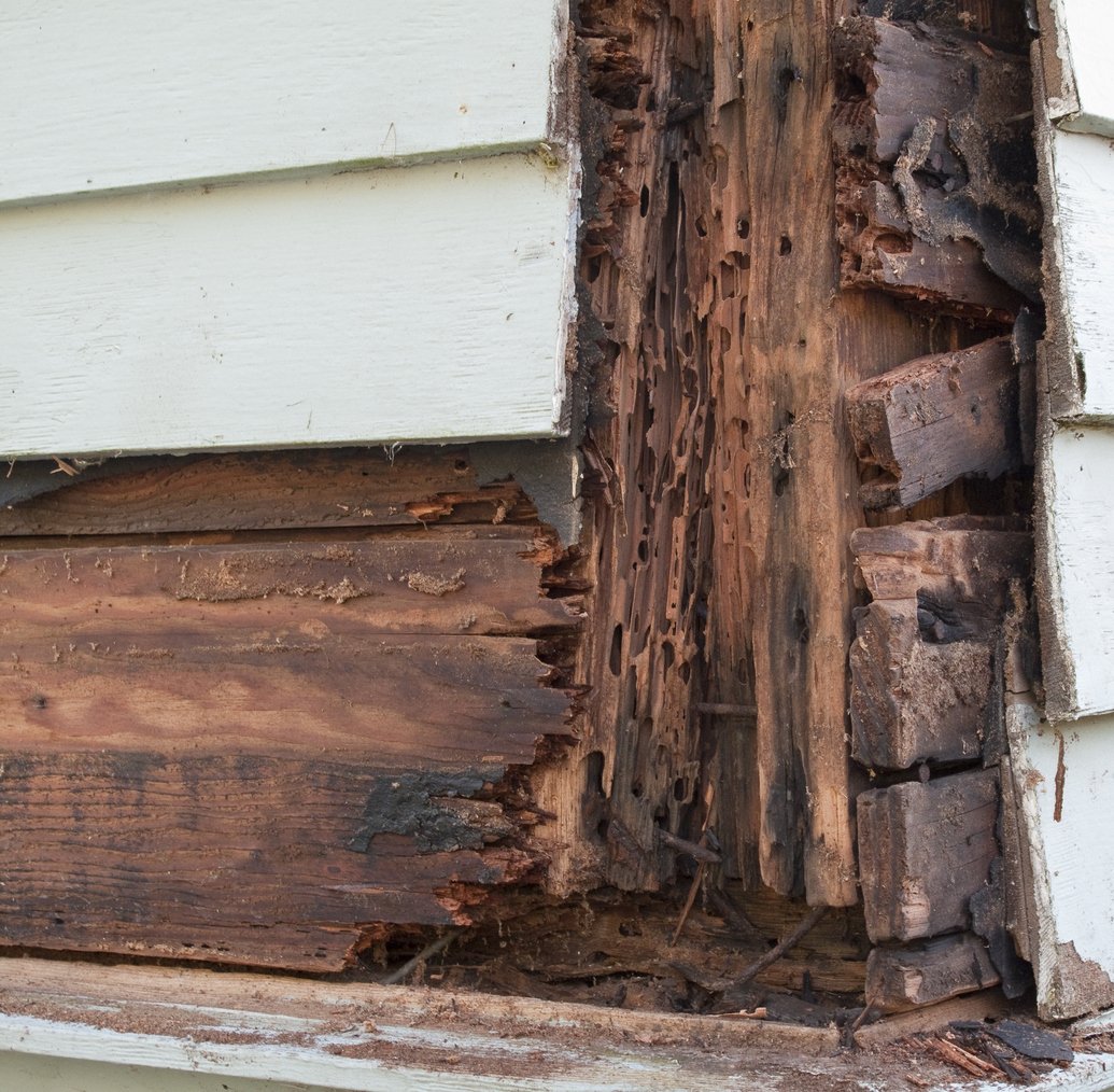 Are you a #builder or #remodeler in an area where termites traditionally haven’t been a concern? Find out why now could be time to get ahead of their spread by considering building materials that are engineered to resist termite decay. lpcorp.com/products/exter…