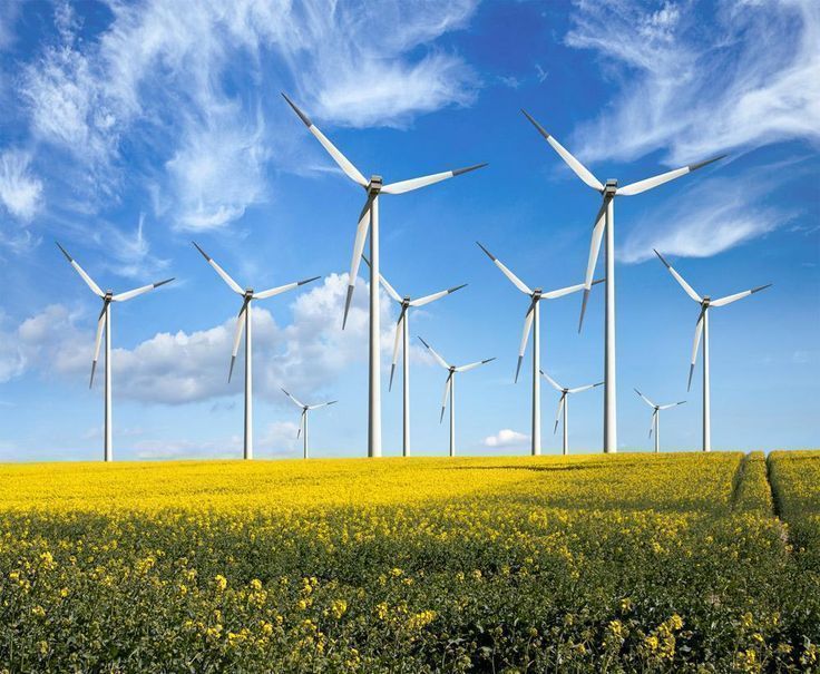 alternativaver1's tweet photo. foto del día: energía eólica junto a una plantación de colza! https://t.co/twbwZQUJ8z