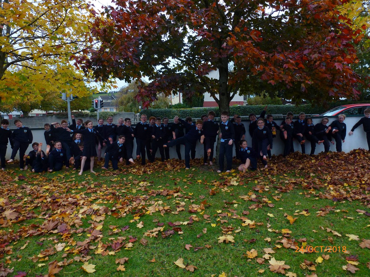4thclass2_Slane's tweet photo. We went on a barefoot walk today! That's one thing we can check off the list of things to do before you're 11 3/4 @4thClass_Slane @Slanens https://t.co/VJsL5pT9jb https://t.co/DeMKidlDhW