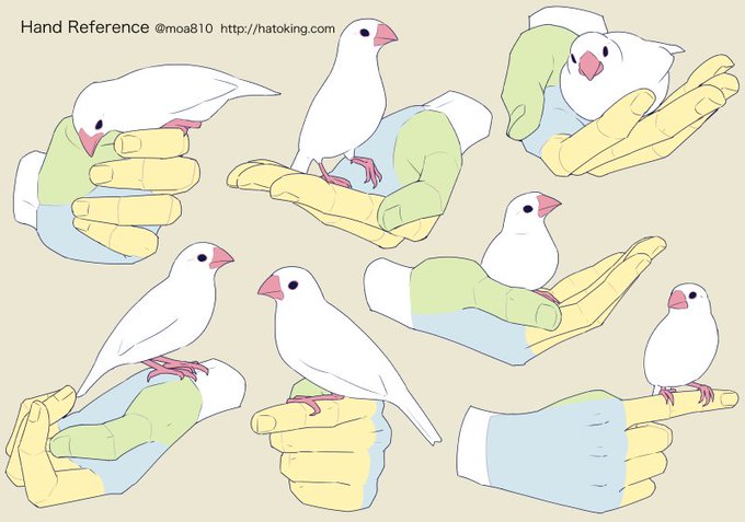 文鳥の日 のtwitterイラスト作品 人気順