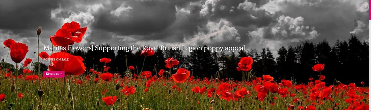 Promoting the Poppy appeal at Maritas Flowers Sthelens#royalbritishlegionpoppyappeal2018 maritasflowers.co.uk