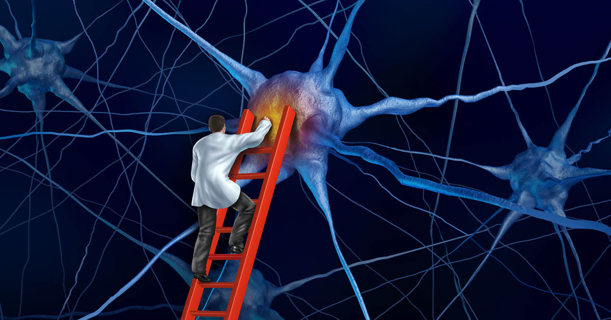 whalecomnet's tweet photo. #WhalecomBLOG 💻 La integración entre el cerebro y el cuerpo conduce a un mejor rendimiento. ¡Enterate más en esta nota sobre #neuroliderazgo! 👉 https://t.co/GewEGlSmRU @silviadamiano @aboutmybrain #I4Model https://t.co/393sios8jS