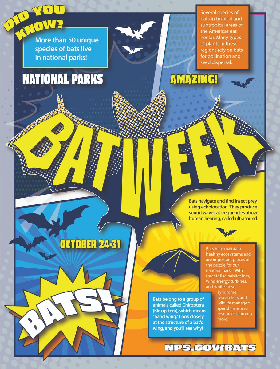 NatlParkService's tweet photo. It's #BatWeek! (October 24-31) Did you know millions of bats live in your national parks? They pollinate, eat insects, use echolocation, and fascinate visitors. Learn more at https://t.co/C71p5DXKZs 🦇

#FindYourPark #NANANANANANA... https://t.co/x1mjJoC1sD