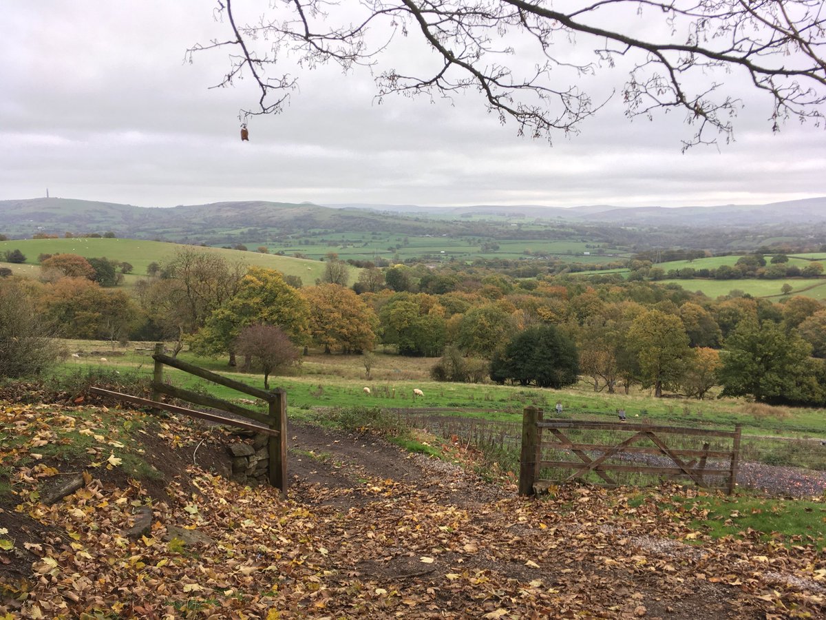 NeonFreight's tweet photo. Clay shoot at #cloudside Congleton with East Cheshire Chamber or commerce 👌🔫 https://t.co/1skftmoMGl