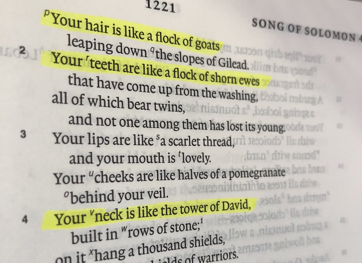 Pastordude's tweet image. Biblical pick up lines. Song of Songs 4: Your teeth are like a flock of sheep just shorn, coming up from the washing. Each has its twin; not one of them is alone  (New Southern Translation = Girl you’re lookin’ good and ain’t even missin’ a single tooth!) #remembersolomonwasrich