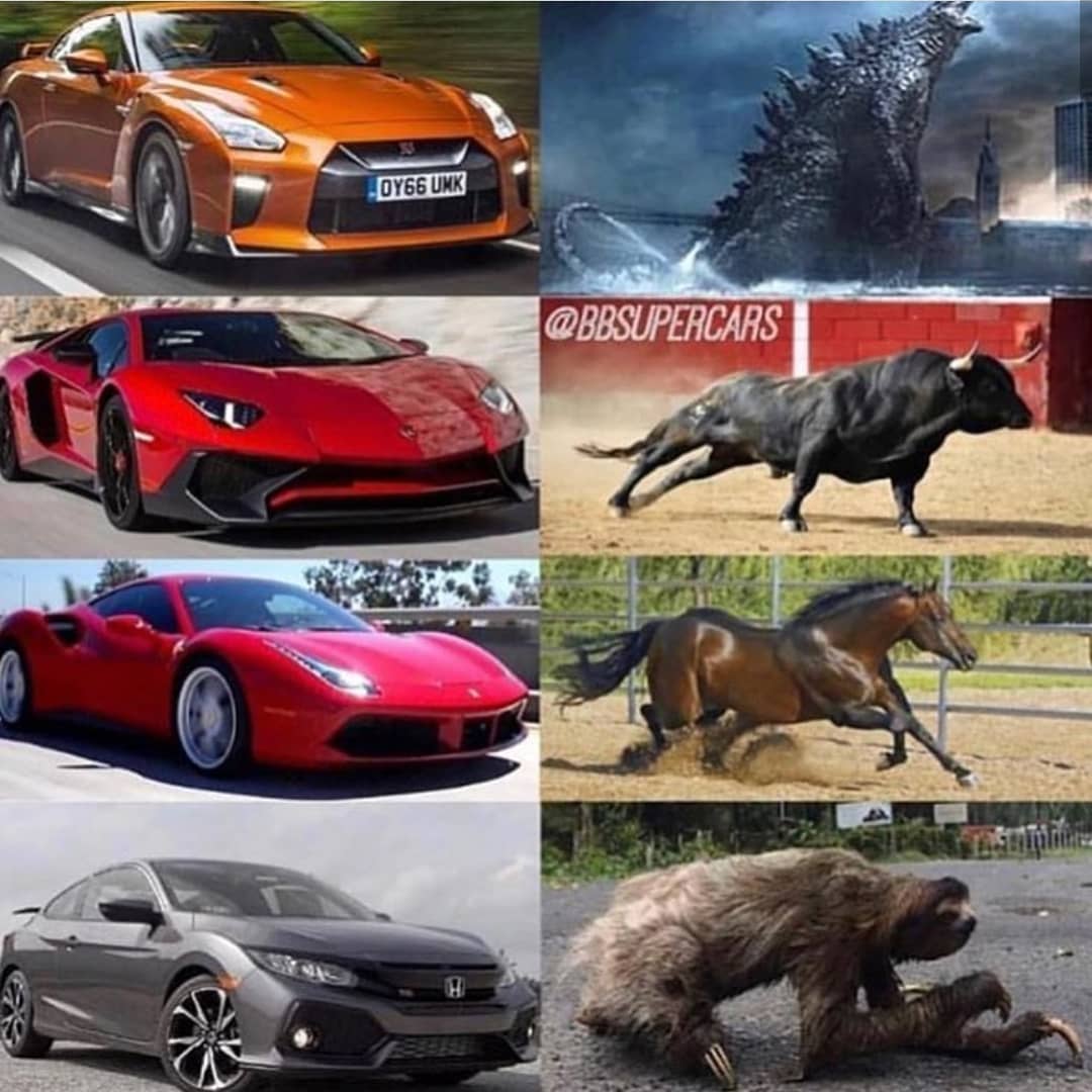 modmodifiye1's tweet photo. Hayvanları koruyalım sevelim ... 💯

#modmodifiye #cars #car #mk #r #racing #speed #sportscar #supercar #carporn #wheels #bmw #exoticcars #race #supercars #photography #carsofinstagram #road #audi #like #s #drive #exotic #rims #tires #ferrari #sportscars #horsepower #bhfyp https://t.co/7PkN3xQI1T