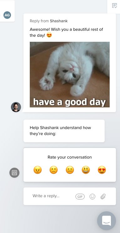What better than a cat gif?  <a href="/productboard/">Productboard</a> Support Team is over the top 😂 #CustomerExperience